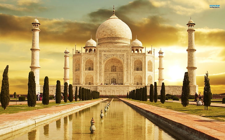 Taj Mahal, Índia, Taj Mahal, Índia, palácio, arquitetura, árvores, HD papel de parede