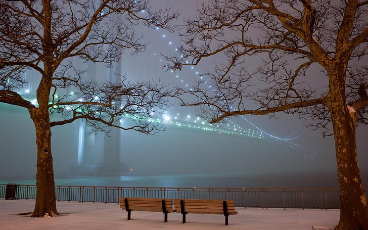 winter snow trees night fog mist bridges turkey istanbul bosphorus illuminated 1280x800  Architecture Bridges HD Art , Winter, snow, HD wallpaper