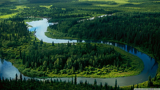 Turquie, rivière, forêt, paysage, vue aérienne, Fond d'écran HD HD wallpaper