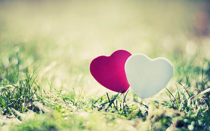 heart grass couple close-up-Romantic HD Wallpaper, purple and white heart clip art, HD wallpaper
