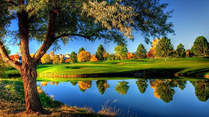 pohon berdaun hijau, halaman rumput hijau, alam, lanskap, pohon, rumput, musim gugur, warna-warni, air, sungai, HDR, rumah, refleksi, Wallpaper HD