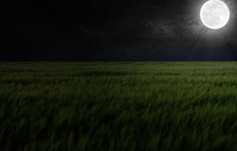 зелено тревно поле, Земя, Луна, Поле, Нощ, HD тапет HD wallpaper