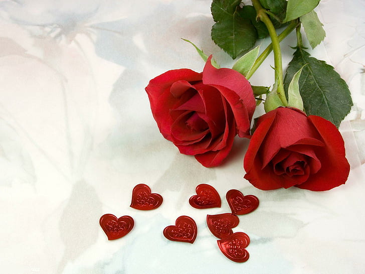 rosor, blommor, två, röda, hjärta, kärlek, rosor, blommor, hjärta, kärlek, HD tapet