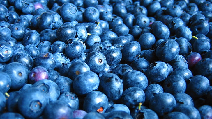 blåbärsfrukter], blåbär, bär, många, HD tapet