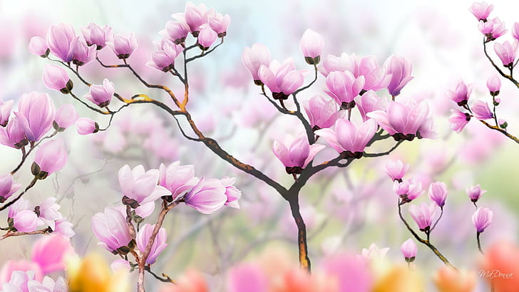Tulip Tree Shadows, pink and white petaled flowers, firefox persona, layers, blurred, floral, beautiful, pink, flowers, trees, flora, summer, shadows, 3d, HD wallpaper
