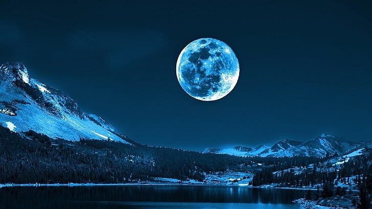pohon di dekat gunung bersalju yang diambil di bawah bulan purnama, Bulan, Wallpaper HD