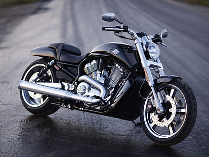 black Harley-Davidson cruiser motorcycle, Harley, Motorcycle, Harley-Davidson, V-rod, HD wallpaper HD wallpaper