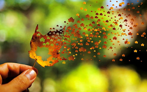 коричневый кленовый лист, увядающий коричневый лист фото, листья, осень, глубина резкости, природа, фото манипуляции, полет, пальцы, деревья, HD обои HD wallpaper