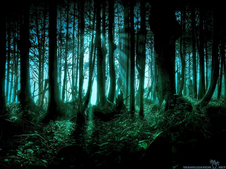 ฮาโลวีนป่าแปซิฟิกที่น่ากลัว, ฮาโลวีน, น่ากลัว, แปซิฟิก, ป่าไม้, มืด, ธรรมชาติ, วอลล์เปเปอร์ HD