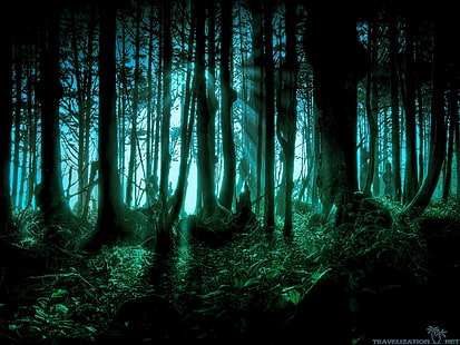 할로윈 무서운 태평양 숲, 할로윈, 무서운, 태평양, 숲, 어둠, 자연, HD 배경 화면 HD wallpaper