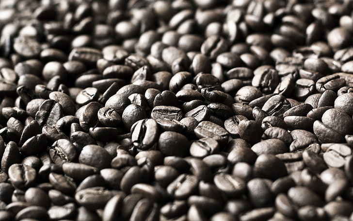 grains de café, profondeur de champ, macro, grains de café, nourriture, Fond d'écran HD