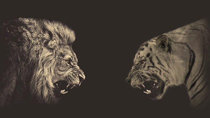 животные, лев, фото манипуляции, сепия, тигр, HD обои