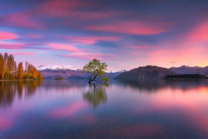 montañas, lago, árbol, Nueva Zelanda, lago Wanaka, Alpes del Sur, Fondo de pantalla HD