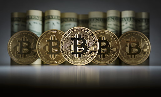 bitcoin, efectivo, monedas, computadora, digital, internet, dinero, tecnología, tecnología, Fondo de pantalla HD HD wallpaper