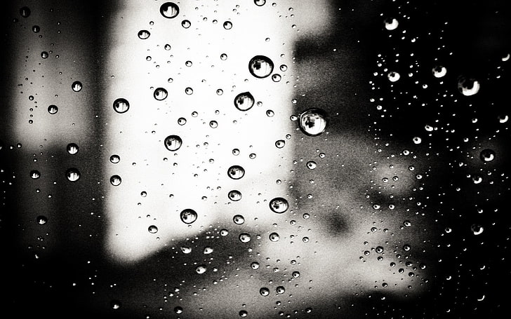 water droplets, water drops, monochrome, water on glass, HD wallpaper