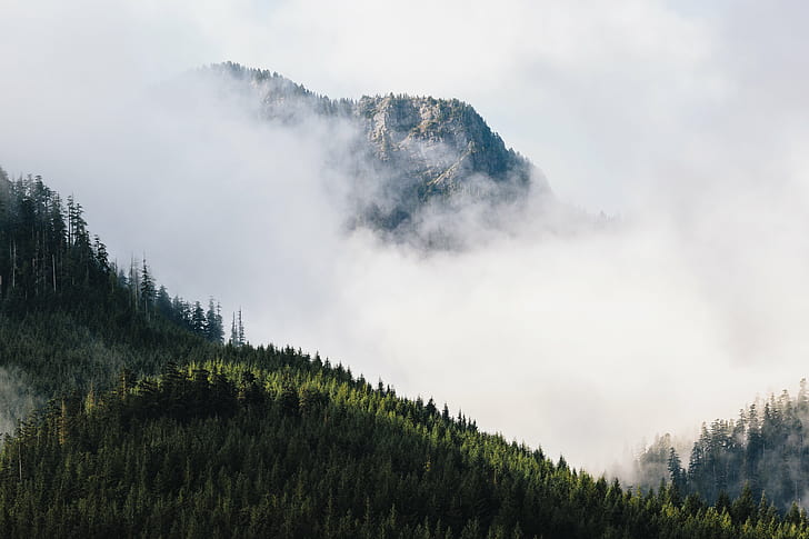 mountains with trees covered with thick clouds, Float On, mountains, trees, clouds, landscape, Pacific Northwest, Washington, Canon EOS 5D Mark III, 2L, USM, mountain, nature, forest, tree, scenics, outdoors, mountain Peak, HD wallpaper