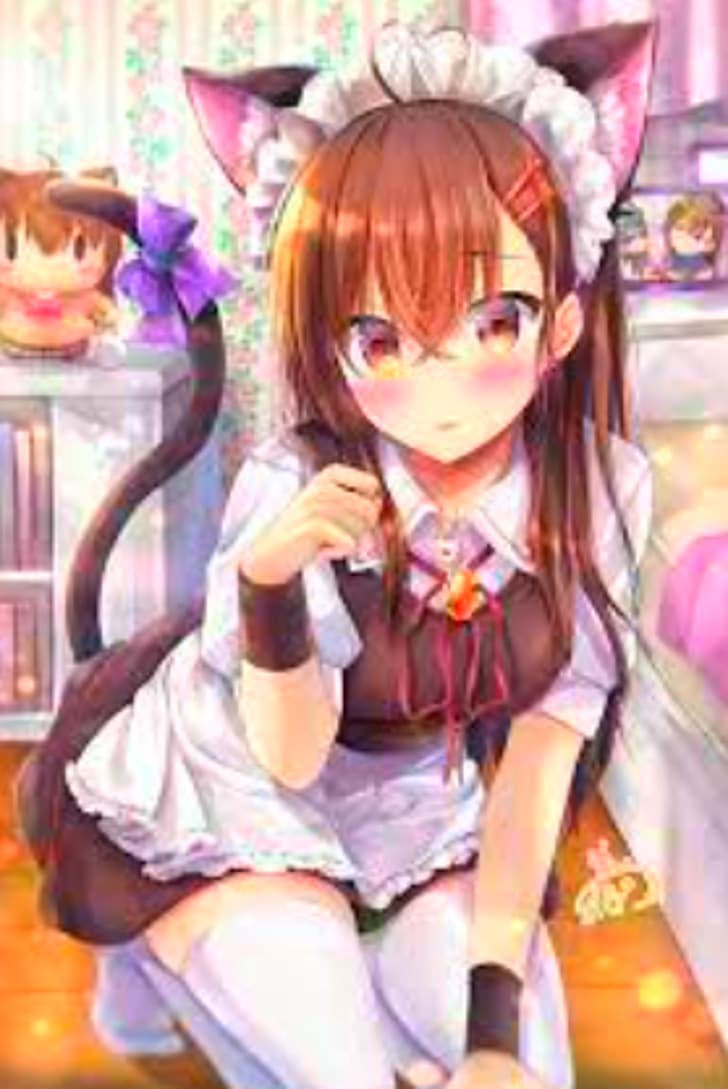 maid, cat girl, anime girls, HD wallpaper