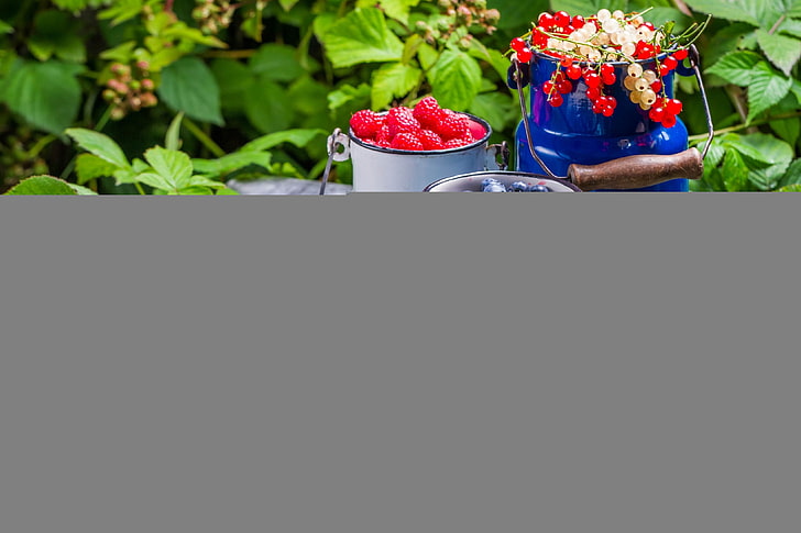 red fruits, raspberries, currants, blackberries, cans, leaves, HD wallpaper