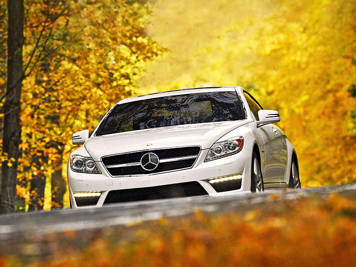 white Mercedes-Benz C-Class, autumn, white, leaves, trees, Mercedes-Benz, supercar, Mercedes, the front, цл63, cl63, AMG, HD wallpaper