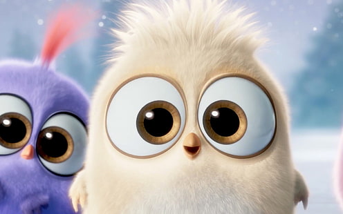 Cute Bird Eyes The Angry Birds, oiseaux beige et violet, films, films hollywoodiens, hollywood, 2016, Fond d'écran HD HD wallpaper