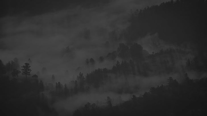 gri tonlamalı fotoğraf dağ, sis, orman, doğa, ağaçlar, HD masaüstü duvar kağıdı