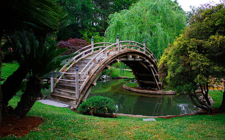 Taman, pohon, jembatan kayu lengkung, air, rumput, Taman, Pohon, Kayu, Lengkungan, Jembatan, Air, Rumput, Wallpaper HD