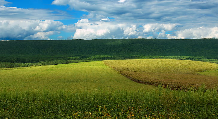 photo green grass field during daytime, Walled, photo, green grass, daytime, Pennsylvania, Northampton County, Moore Township, West, Scenic Drive, Blue Mountain, Kittatinny Mountain, Appalachian Mountains, Lehigh Valley, landscape, hills, clouds, stratocumulus, rural, summer, creative commons, nature, agriculture, rural Scene, field, farm, hill, land, outdoors, meadow, scenics, green Color, sky, landscaped, HD wallpaper