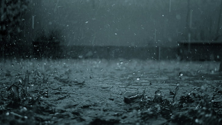 капли дождя, дождь, вода, капли воды, HD обои