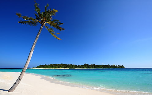 Мальдивский пляж, пляж, мальдивский, HD обои HD wallpaper