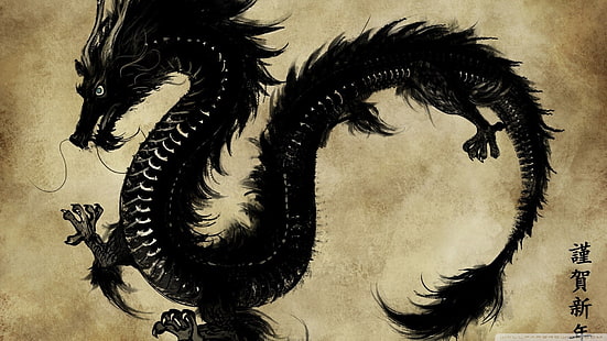 китайски дракон, дракон, Япония, илюстрация, феникс, HD тапет HD wallpaper
