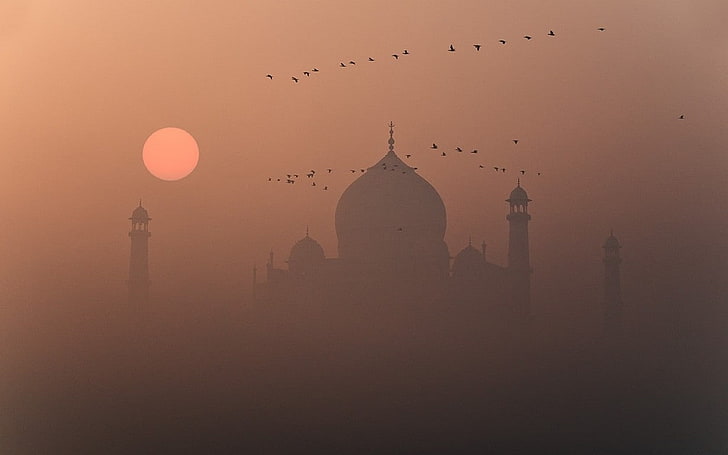 architettura, tramonto, volare, nebbia, marmo, uccelli, mausoleo, natura, India, Taj Mahal, patrimonio dell'umanità, Sfondo HD