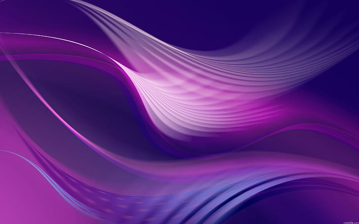  HD artístico, líneas curvas de color púrpura y azul fondo de pantalla hd