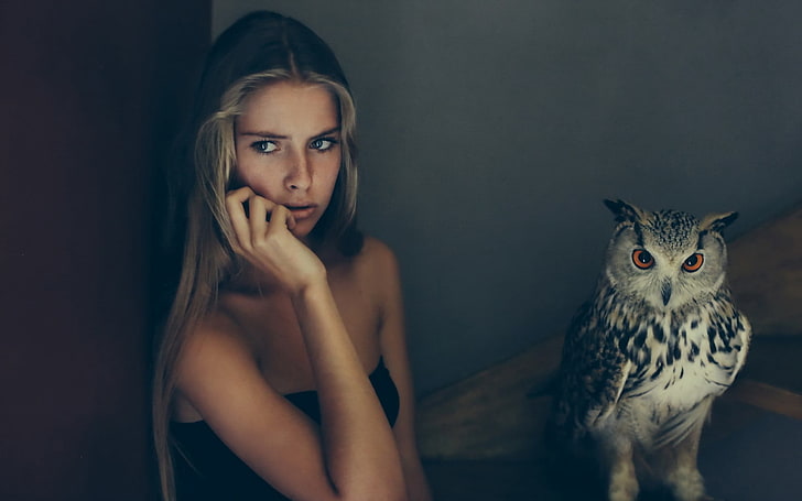 animals, owl, birds, women, Camille Rochette, strapless dress, HD wallpaper