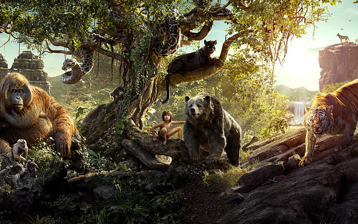 The Jungle Book 2016 Movie, Le livre de la jungle, Fond d'écran HD