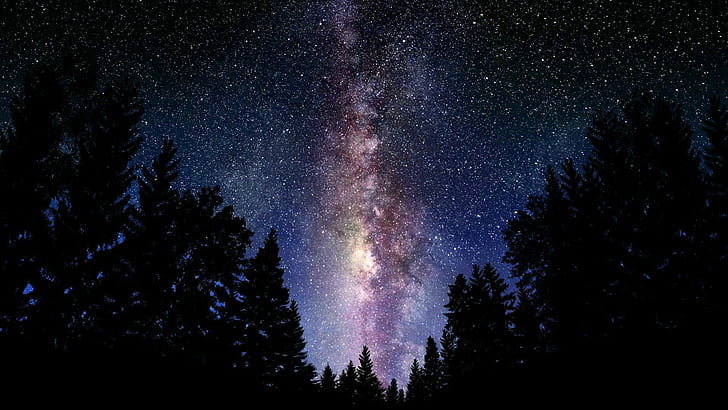 Digitale Kunst, Weltraum, Wald, Waldlichtung, Sterne, Silhouette von Bäumen, digitale Kunst, Weltraum, Wald, Waldlichtung, Sterne, HD-Hintergrundbild