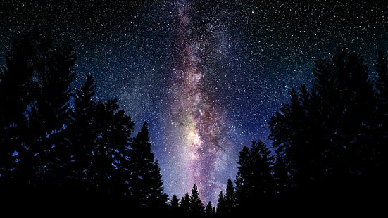 Digitale Kunst, Weltraum, Wald, Waldlichtung, Sterne, Silhouette von Bäumen, digitale Kunst, Weltraum, Wald, Waldlichtung, Sterne, HD-Hintergrundbild HD wallpaper