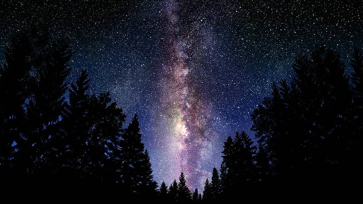 black and brown sky, digital art, space, forest, forest clearing, starry night, stars, HD wallpaper