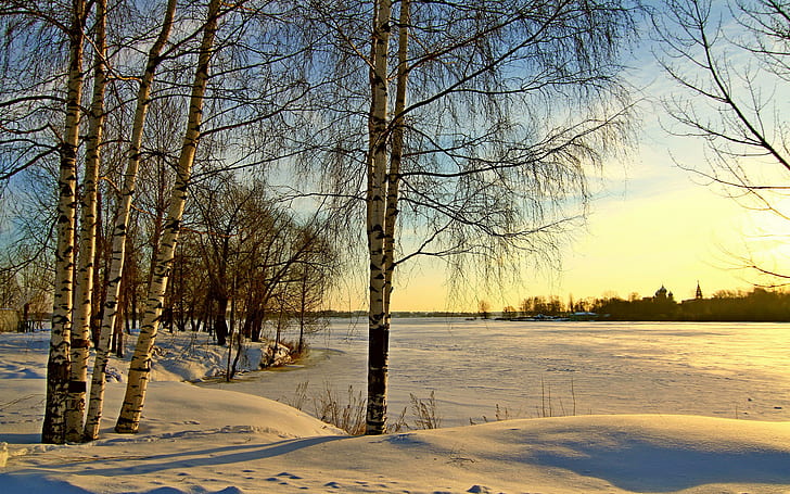 nature, 1920x1200, snow, tree, lake, Winter, Birch, 4K, ultra hd, HD wallpaper