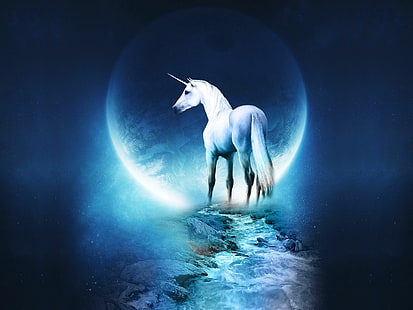 Unicorn HD, fantasía, unicornio, Fondo de pantalla HD HD wallpaper