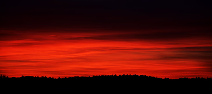 céu vermelho wallpaper \, céu, vermelho, horizonte, árvores, HD papel de parede