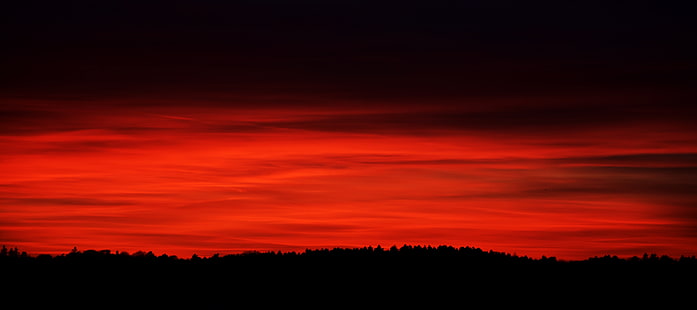 carta da parati cielo rosso \, cielo, rosso, orizzonte, alberi, Sfondo HD HD wallpaper