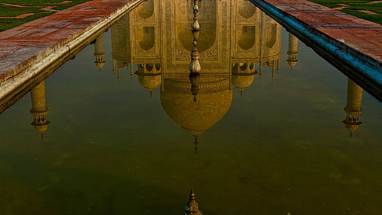 вода, отражение, Индия, Тадж-Махал, мавзолей, Агра, HD обои HD wallpaper
