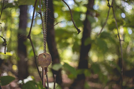 กุญแจสแตนเลสสีเทา, กุญแจ, โซ่, เบลอ, วอลล์เปเปอร์ HD HD wallpaper