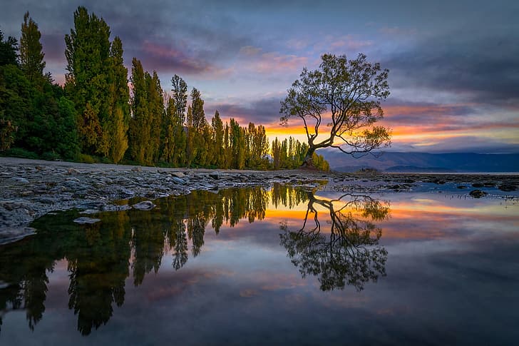 trees, landscape, sunset, nature, lake, reflection, stones, shore, New Zealand, Lake Wanaka, Wanaka, HD wallpaper