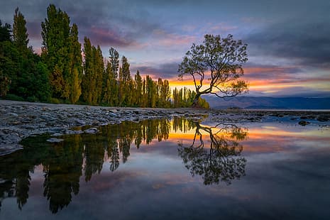 Bäume, Landschaft, Sonnenuntergang, Natur, See, Spiegelung, Steine, Ufer, Neuseeland, Lake Wanaka, Wanaka, HD-Hintergrundbild HD wallpaper