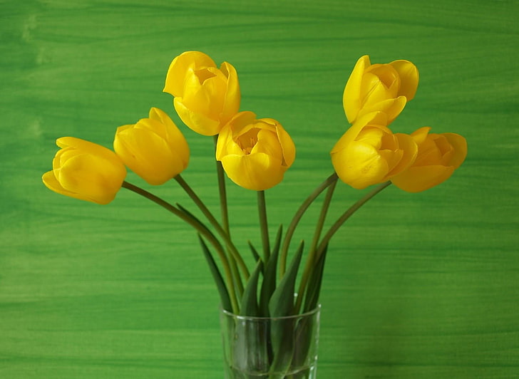 yellow tulips, tulips, flowers, yellow, white, vase, HD wallpaper