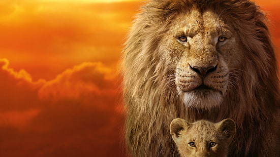 Film, The Lion King (2019), Mufasa (The Lion King), Simba, Wallpaper HD HD wallpaper