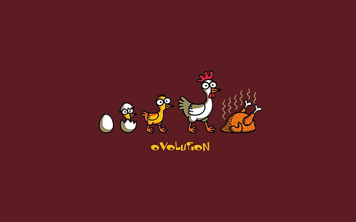 white rooster illustration, humor, evolution, HD wallpaper