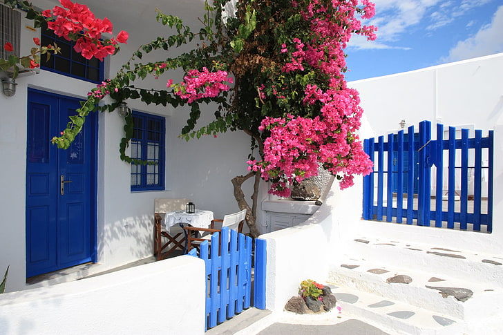white concrete house, Flowers, gate, Santorini, Greece, House, wicket, Yard, bougainvillea, HD wallpaper