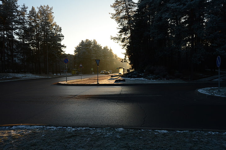 сив бетонен път, зима, улица, трафик, дървета, път, HD тапет